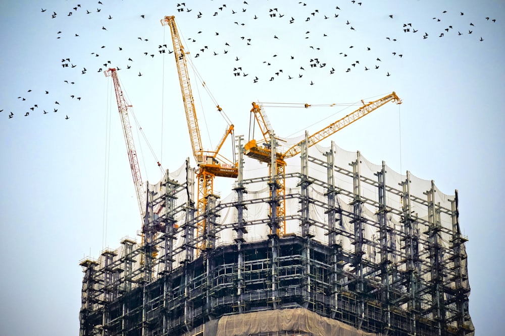 Tower cranes on a construction site